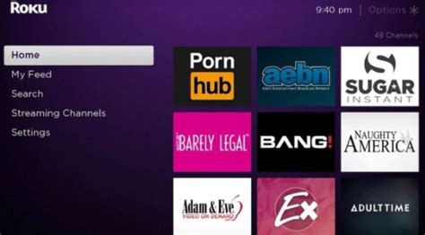 porn app for roku tv|List of Roku Porn Channels & Apps: Best Alternatives in 2024